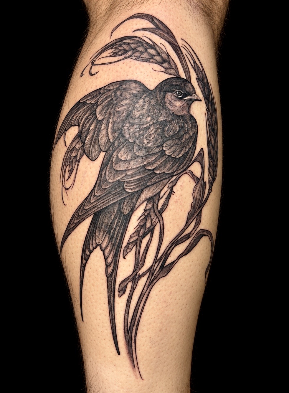 Swallow, black and grey tattoo by James Robinson
