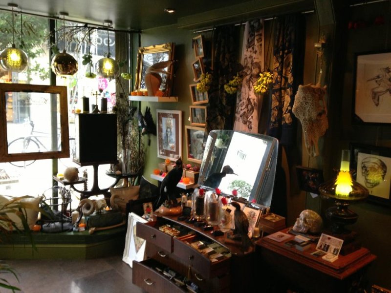 We have lots of beautiful new things in the shop ready for Halloween! Come say Hi x